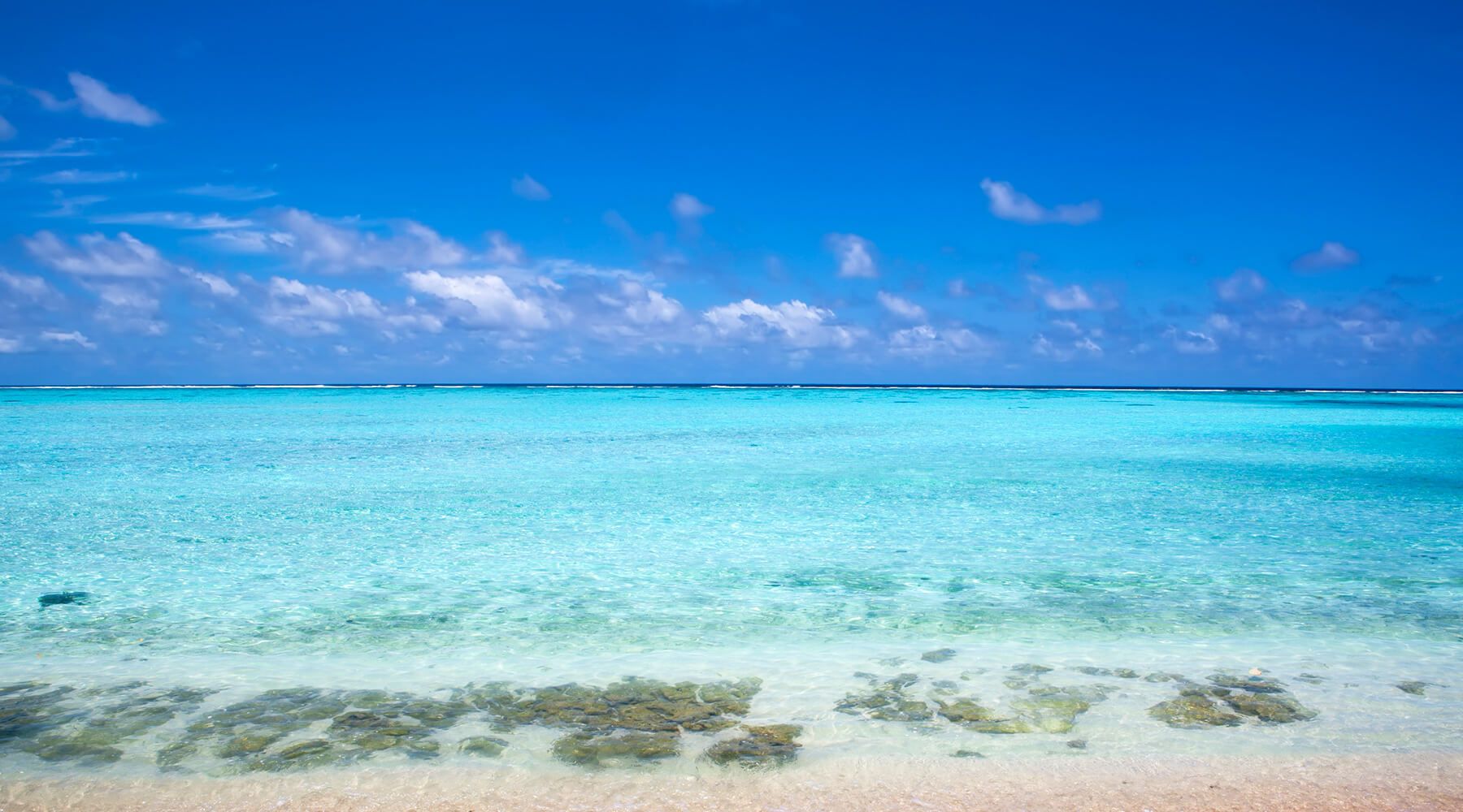 SRI BANI YAS ISLAND