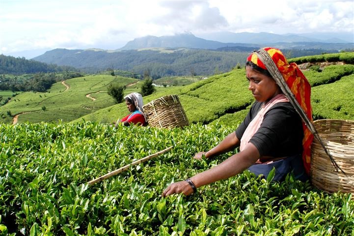 Sri Lanka